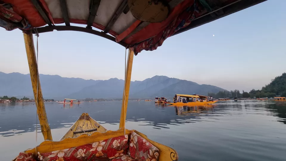 Photo of Dal Lake by toral