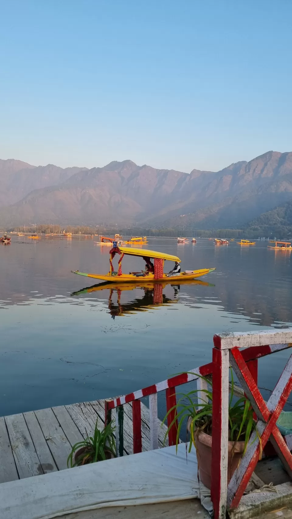 Photo of Dal Lake by toral