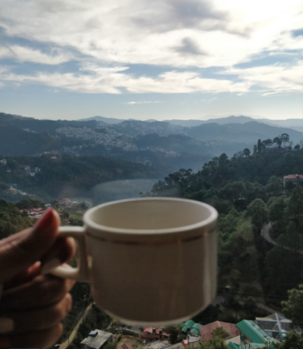 Photo of A Visit To The Mighty Himalayas : Shimla - Manali - Kullu 4/4 by Sushmita Bhattacharjee