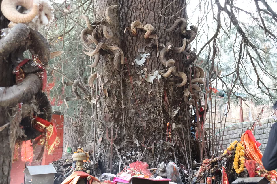 Photo of Ghatotkach Tree Temple, Hadimba Temple Road, Siyal, Manali, Himachal Pradesh, India by Sushmita Bhattacharjee