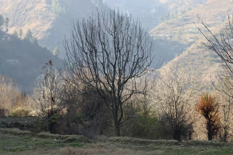 Photo of Kullu, Himachal Pradesh, India by Sushmita Bhattacharjee