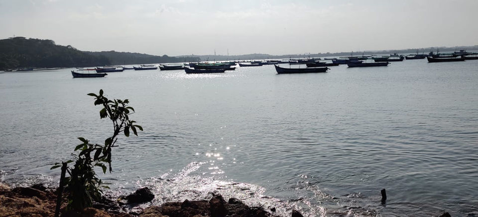 Photo of Let’s Go To Goa by Richa Tyagi
