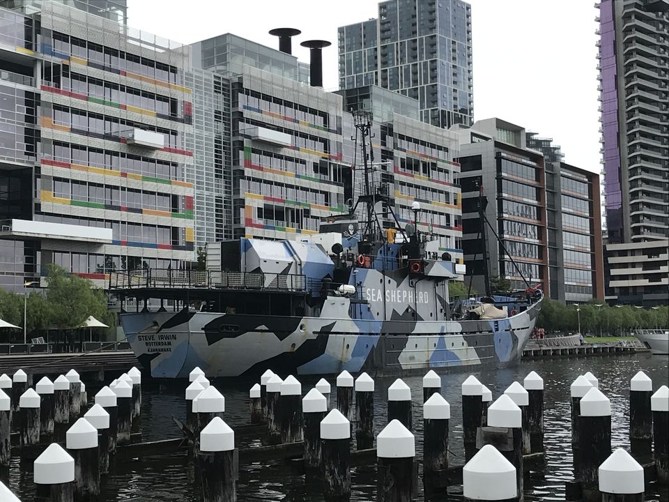 Photo of Top ten things to do in Melbourne City Centre Part -1 by My Travel Slate
