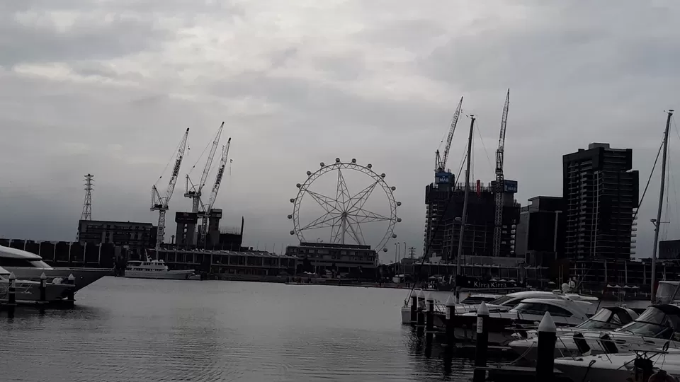 Photo of Melbourne Star, Footscray Road, Docklands VIC, Australia by My Travel Slate