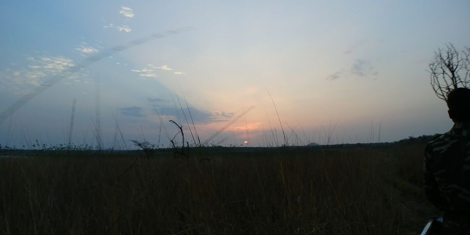 Photo of Jewel of Vidarbha - Tadoba - 3 days itinerary from Mumbai by Akshay Palkar