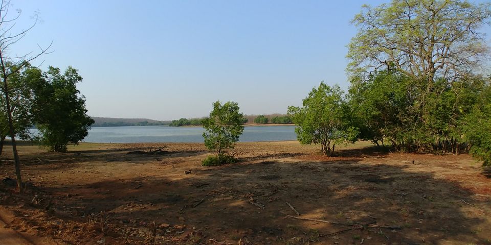 Photo of Jewel of Vidarbha - Tadoba - 3 days itinerary from Mumbai by Akshay Palkar