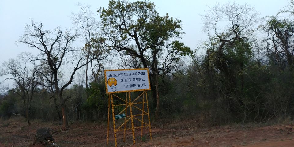 Photo of Jewel of Vidarbha - Tadoba - 3 days itinerary from Mumbai by Akshay Palkar