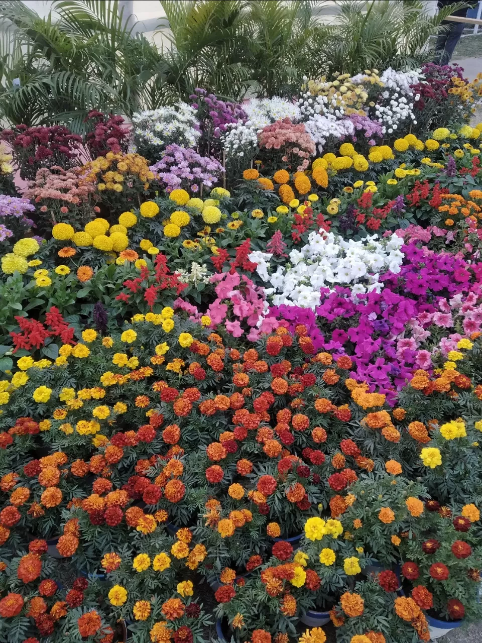 Photo of Kolkata by Abhirup Saha