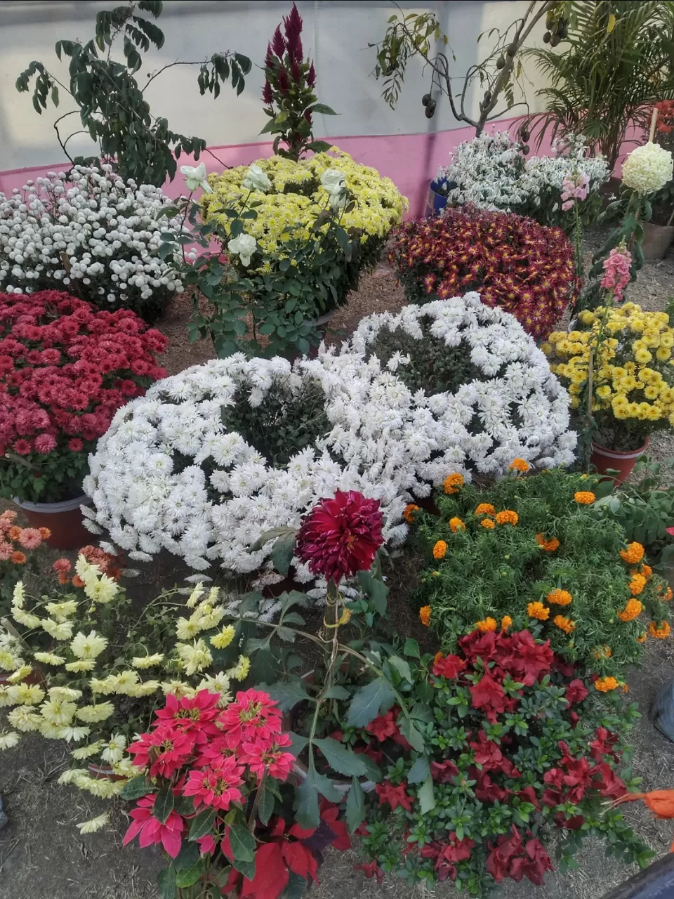 Photo of Kolkata by Abhirup Saha