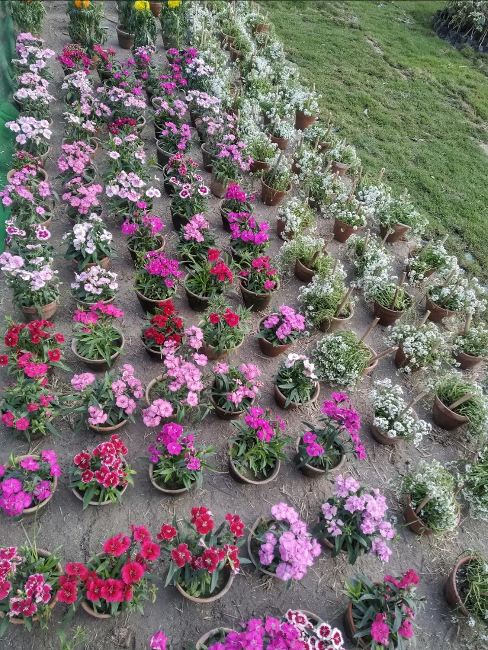 Photo of Kolkata by Abhirup Saha