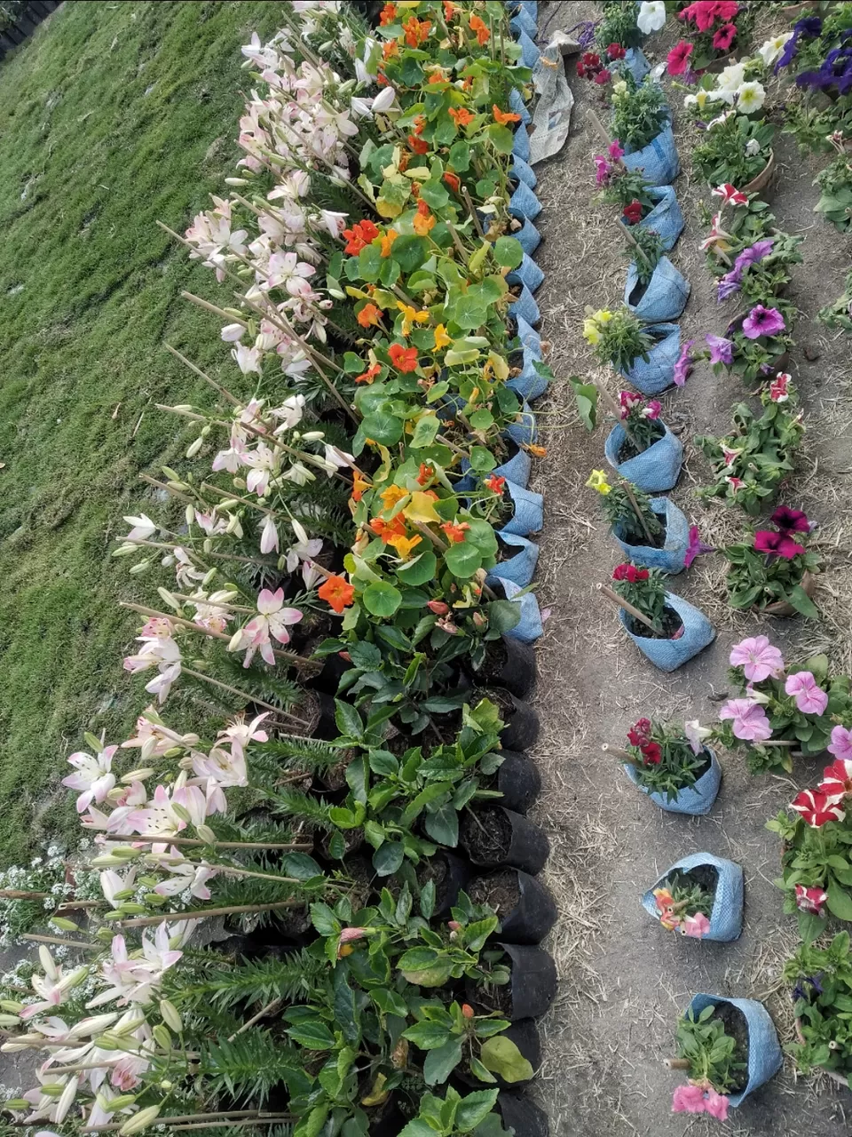 Photo of Kolkata by Abhirup Saha