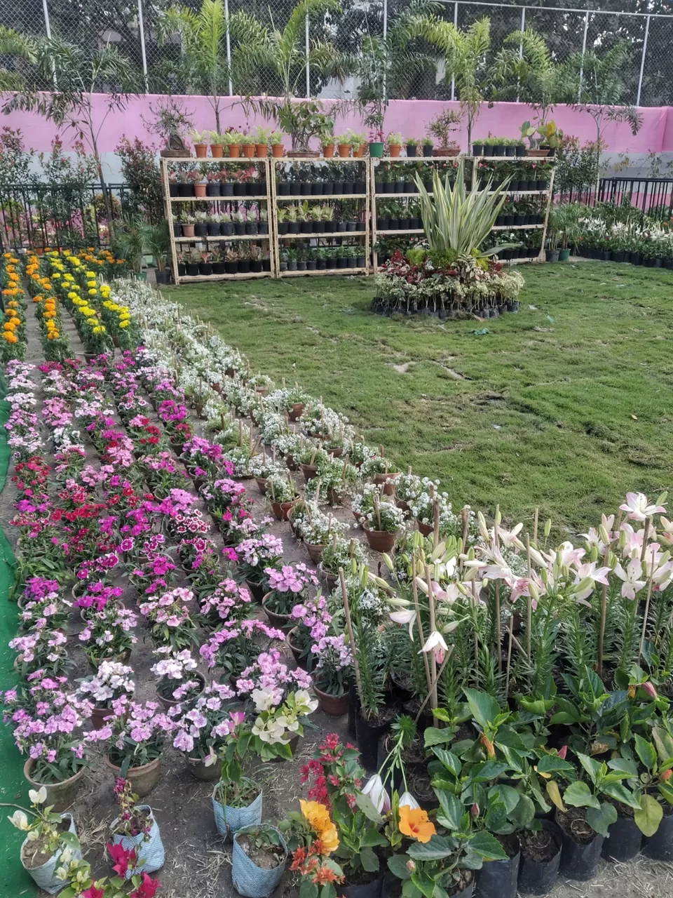 Photo of Kolkata by Abhirup Saha