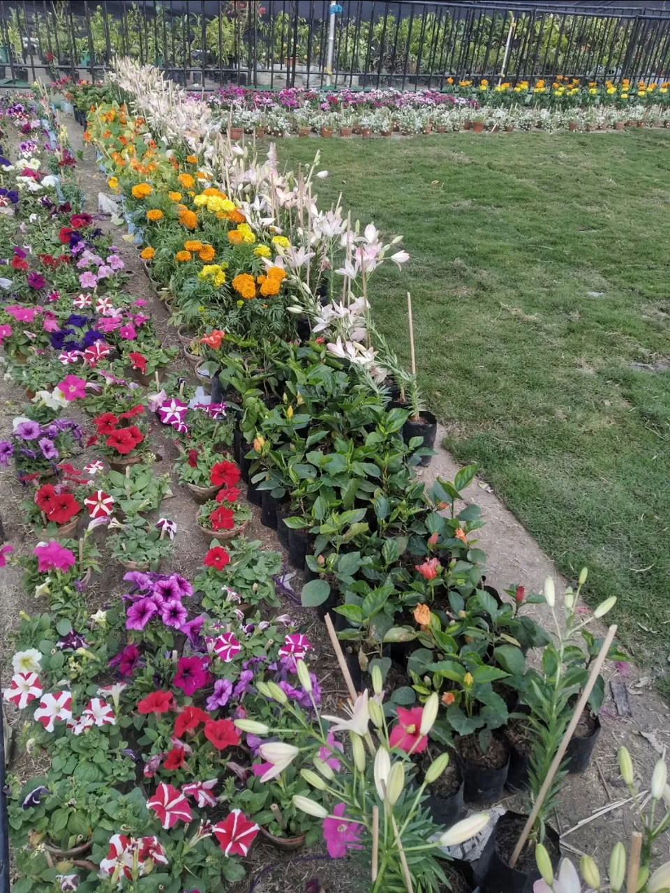 Photo of Kolkata by Abhirup Saha