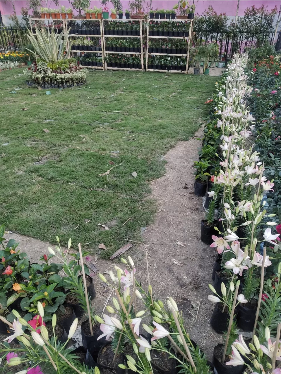 Photo of Kolkata by Abhirup Saha