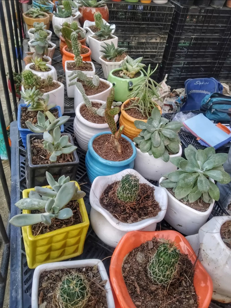 Photo of Kolkata by Abhirup Saha