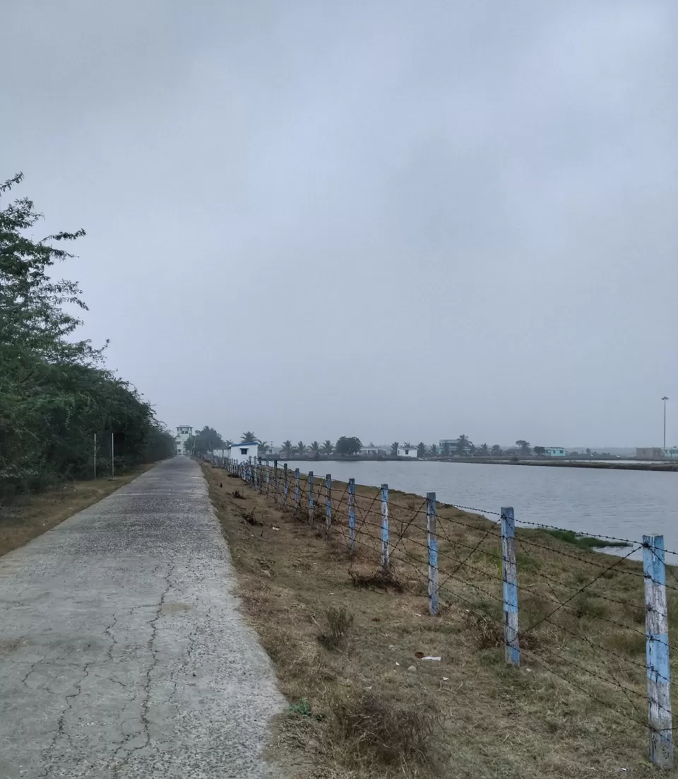 Photo of Bakkhali Fraserganj Henry Island #westbengal #incredibleindia #traveldiaries #beach #sea #mangrove by Abhirup Saha