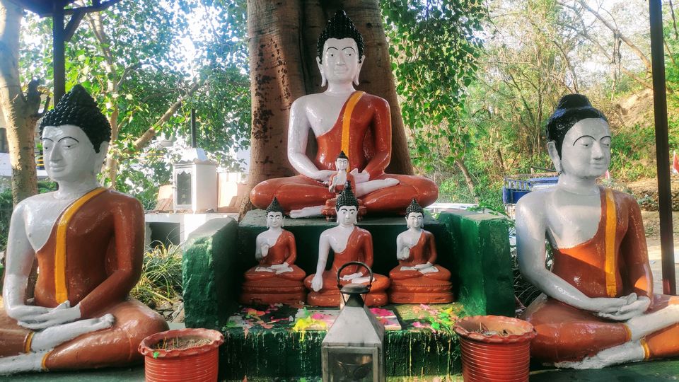 Chandigarh 10 Unknown Places Tripoto