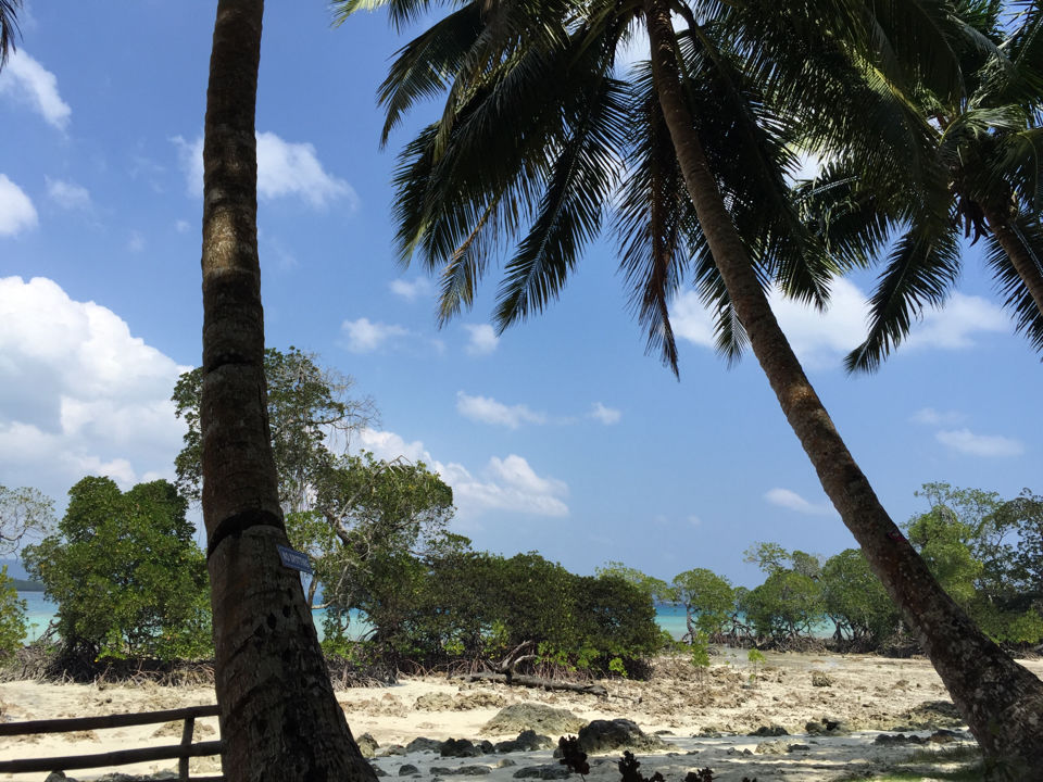 Photo of Havelock Island, South Andaman, Andaman and Nicobar Islands, India by Subash Gd