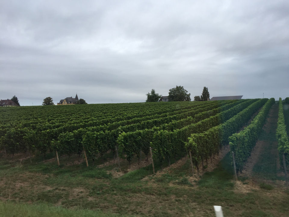 Photo of Frankfurt by Subash Gd