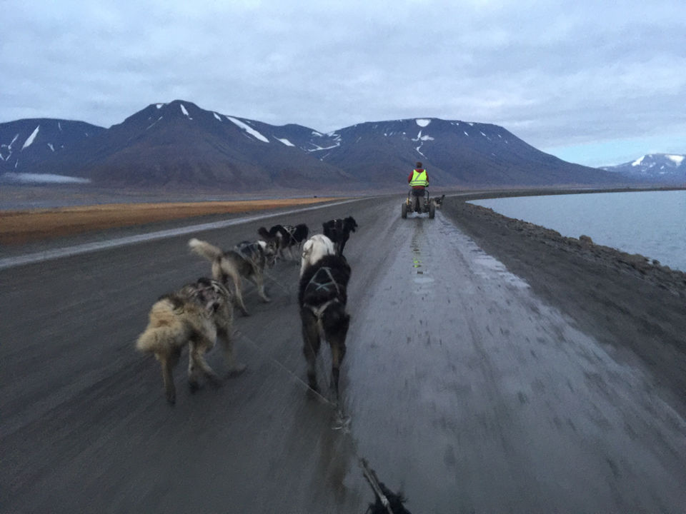 Photo of Svalbard by Subash Gd
