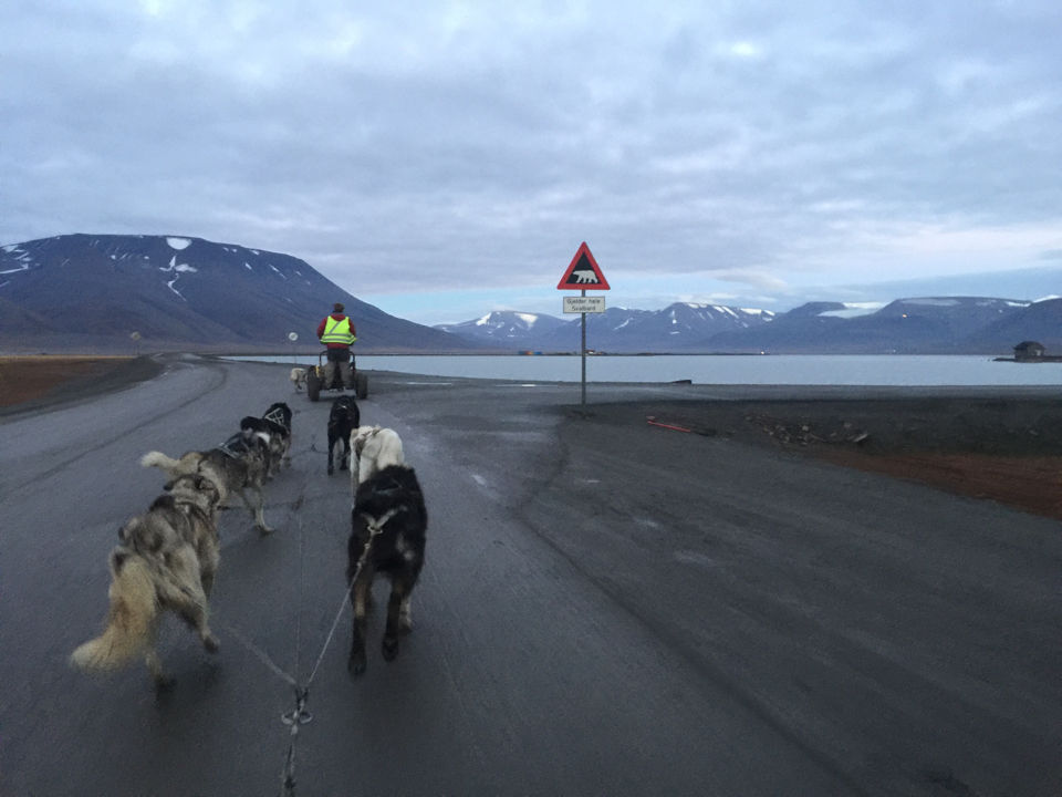 Photo of Svalbard by Subash Gd