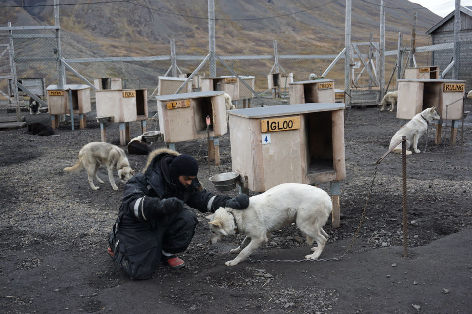 Photo of Longyearbyen by Subash Gd