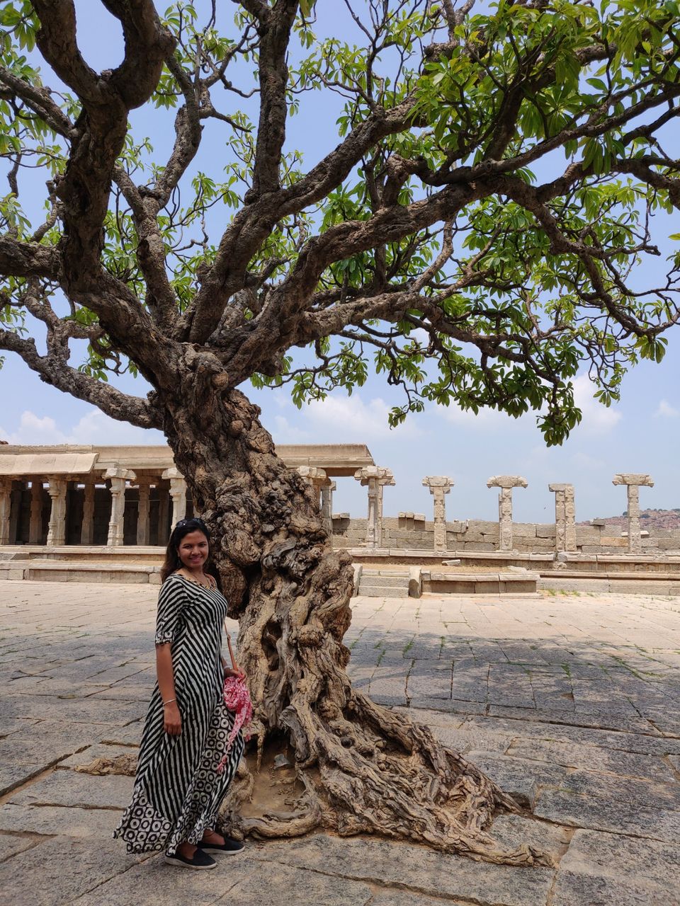 Photo of Vitthala Temple by Namrata Thanekar