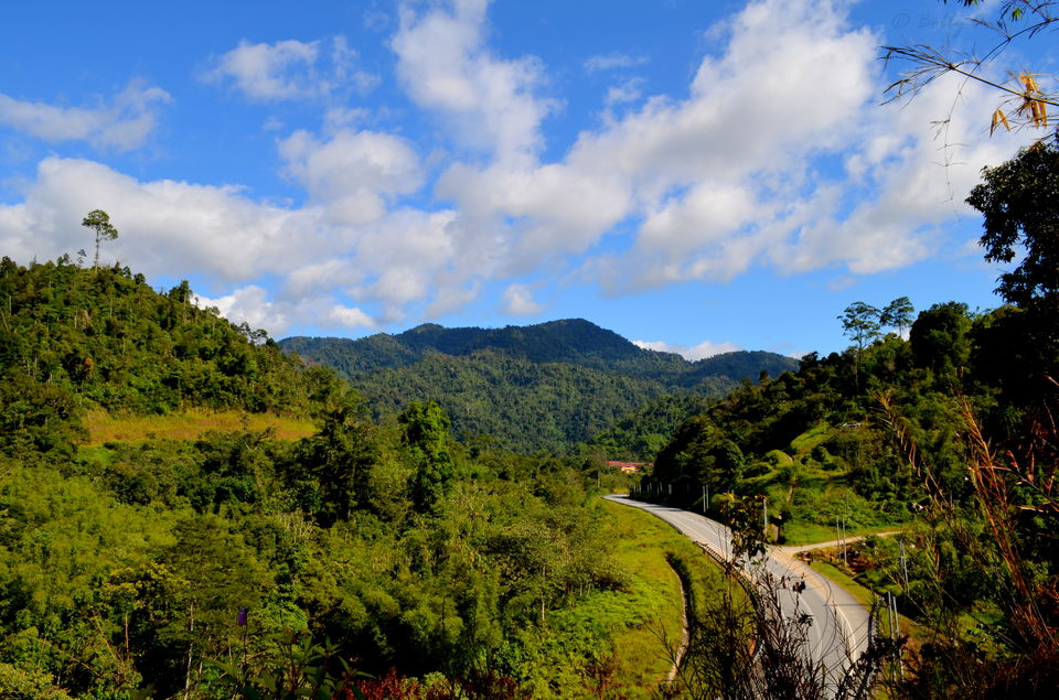 Photo of Visit to Cameron Highlands, Malaysia's most extensive Hillstation 1/31 by Bobby