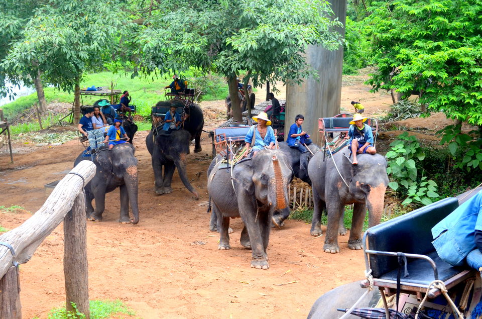 Photo of Weekend in Kanchanaburi, Sanctuary for wild animals 3/18 by Bobby