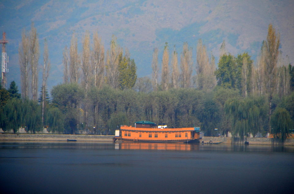 Photo of Trip to Srinagar, City of Lakes and Gardens 5/37 by Bobby