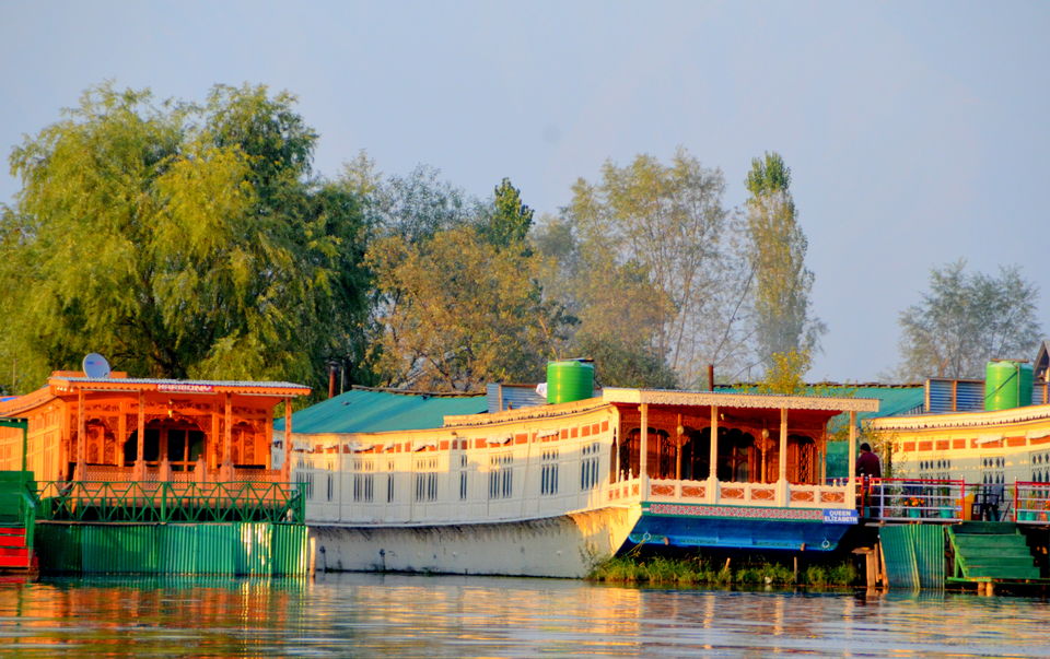 Photo of Trip to Srinagar, City of Lakes and Gardens 8/37 by Bobby