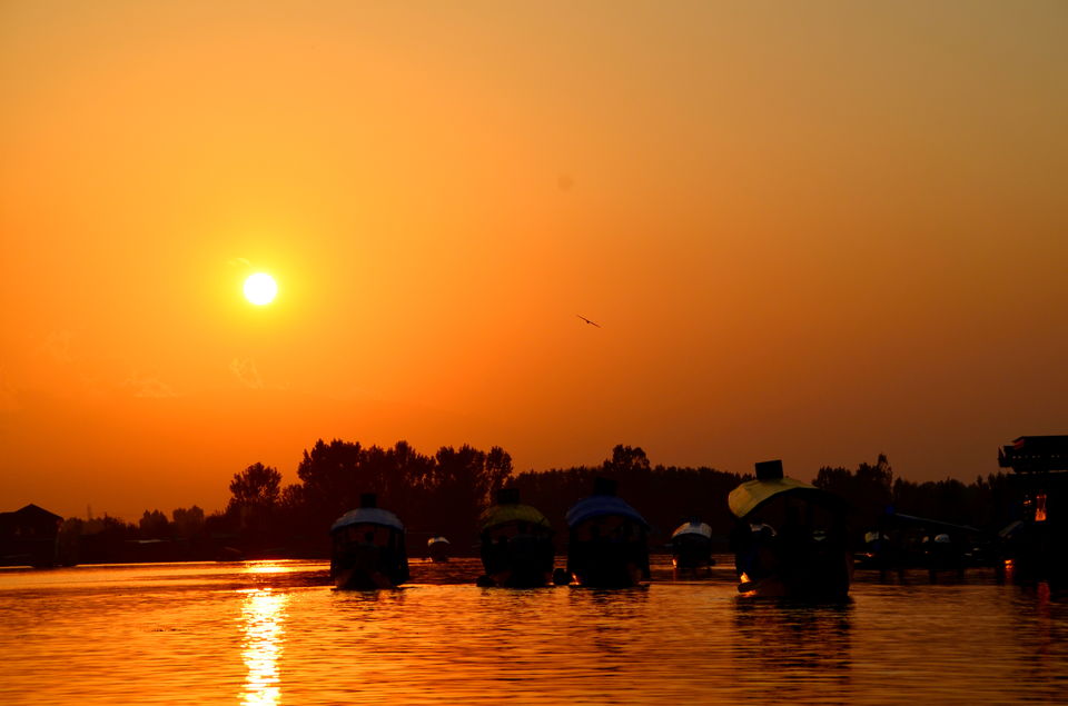 Photo of Trip to Srinagar, City of Lakes and Gardens 9/37 by Bobby