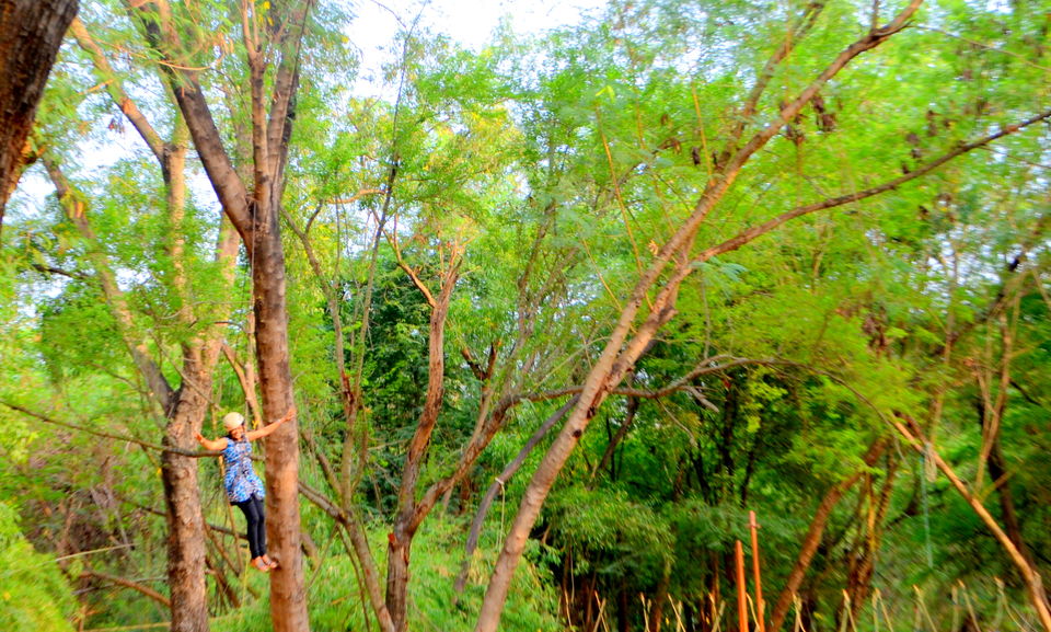 Photo of Relaxing day in Bhavani Island 11/29 by Bobby