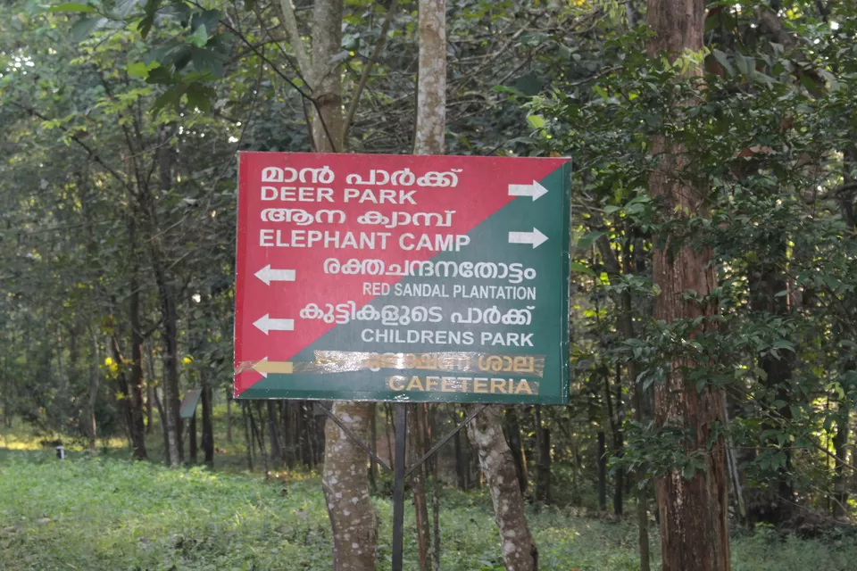 Photo of Kodanad Elephant Training Centre, Kaprikad, Kerala, India by Gurubasavaraj Biradar
