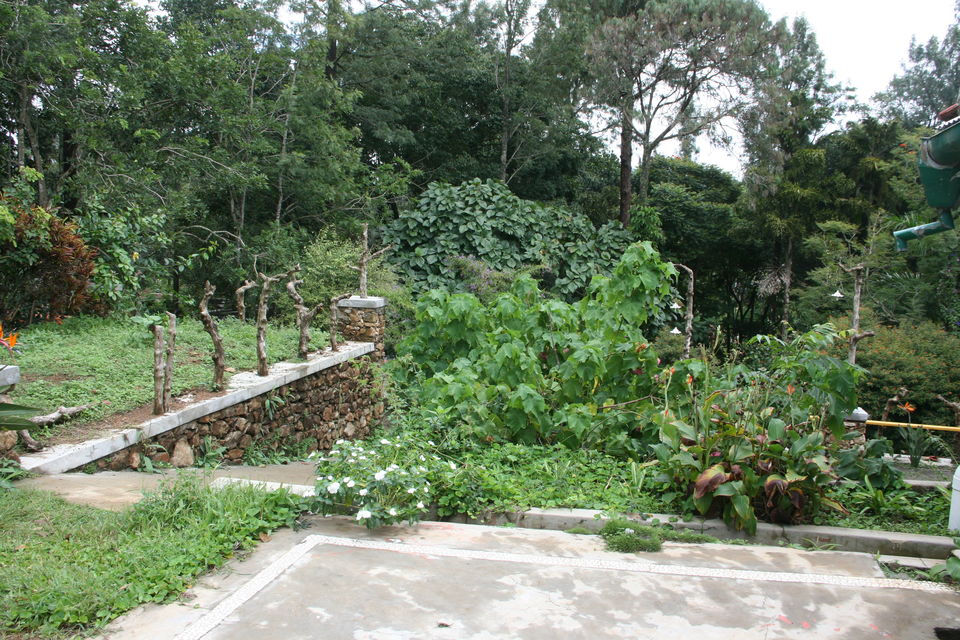 Photo of An impromptu trip to Yercaud 6/9 by Tell-A-Travel-Tale