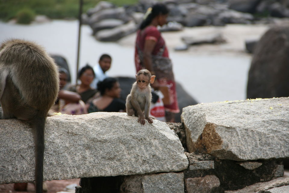 Photo of Hampi - A land of Boulders 13/21 by Tell-A-Travel-Tale