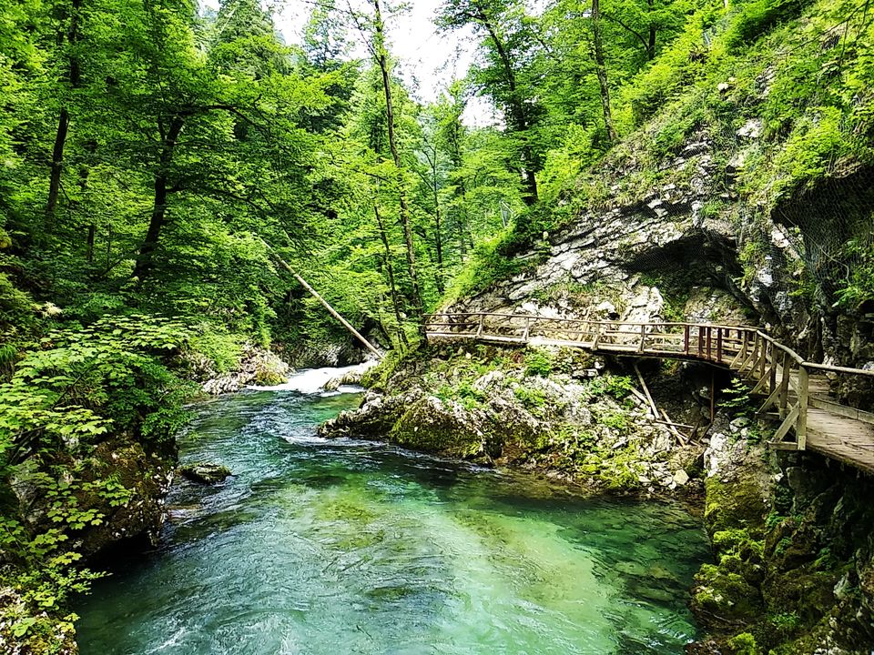 Photo of We found PARADISE in Slovenia !! #photosabroad 4/5 by Tell-A-Travel-Tale