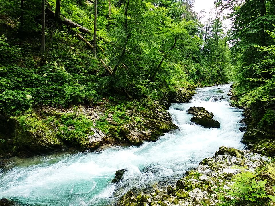 Photo of Mojstrana, Slovenia by Tell-A-Travel-Tale