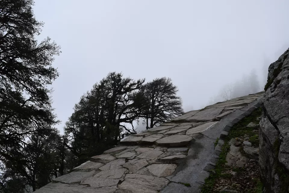 Photo of Tungnath, Rudraprayag, Uttarakhand 246419, India by Amit Sharma