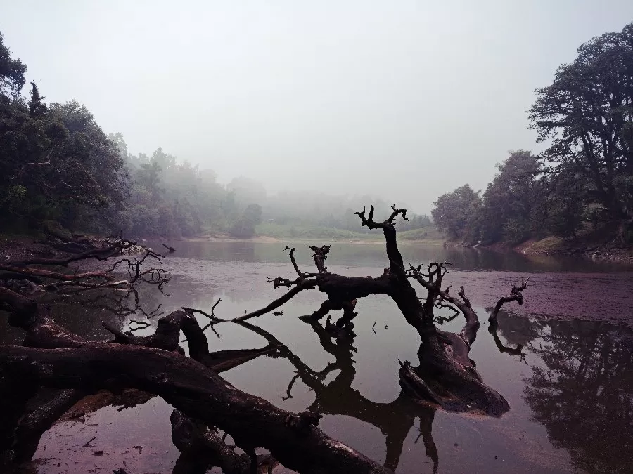 Photo of Deoria Taal, Deoria Taal, Uttarakhand 246469 by Amit Sharma