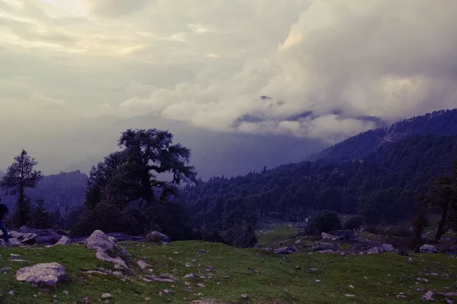 Photo of Chopta, Chopta, Uttarakhand 246419, India by Amit Sharma