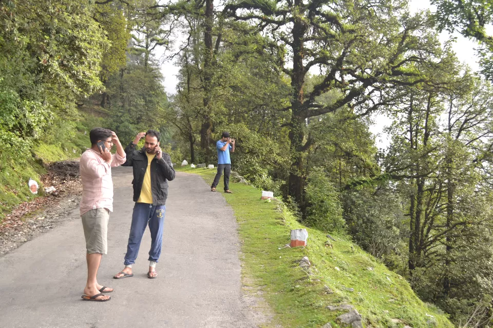 Photo of Chopta, Chopta, Uttarakhand 246419, India by Amit Sharma