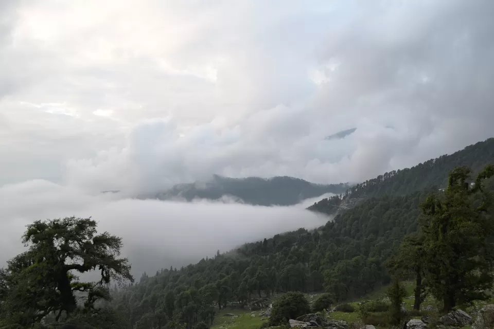 Photo of Chopta, Chopta, Uttarakhand 246419, India by Amit Sharma