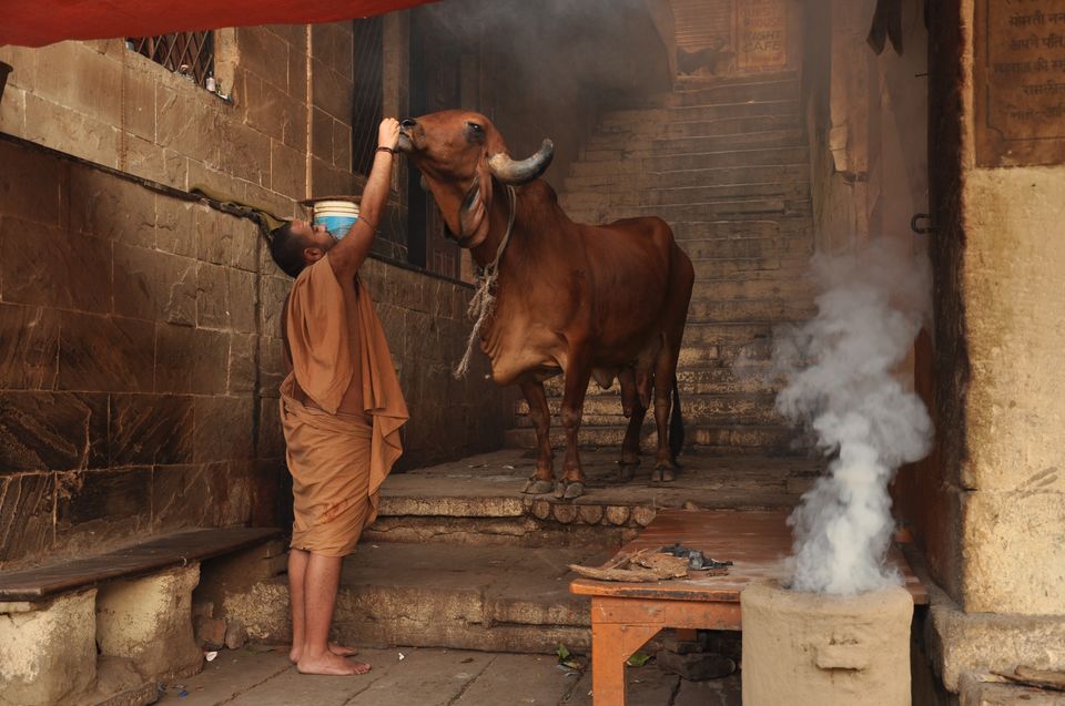 Photo of Maha Shivaratri in Varanasi 4/10 by Catarina Piedade