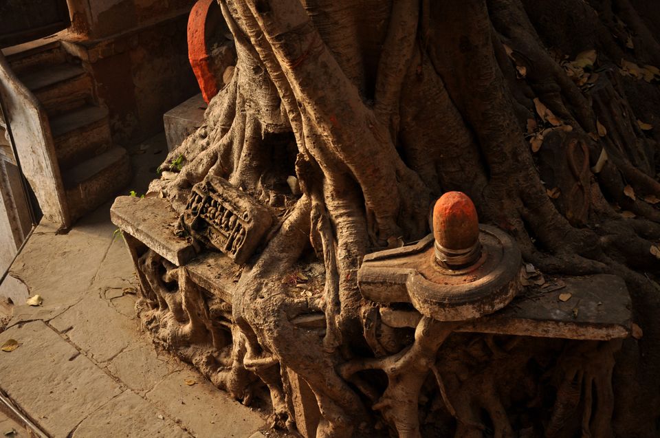 Photo of Maha Shivaratri in Varanasi 6/10 by Catarina Piedade