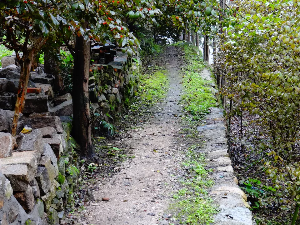 Photo of Lao Jie Ling, Nanyang, Henan, China by Liv