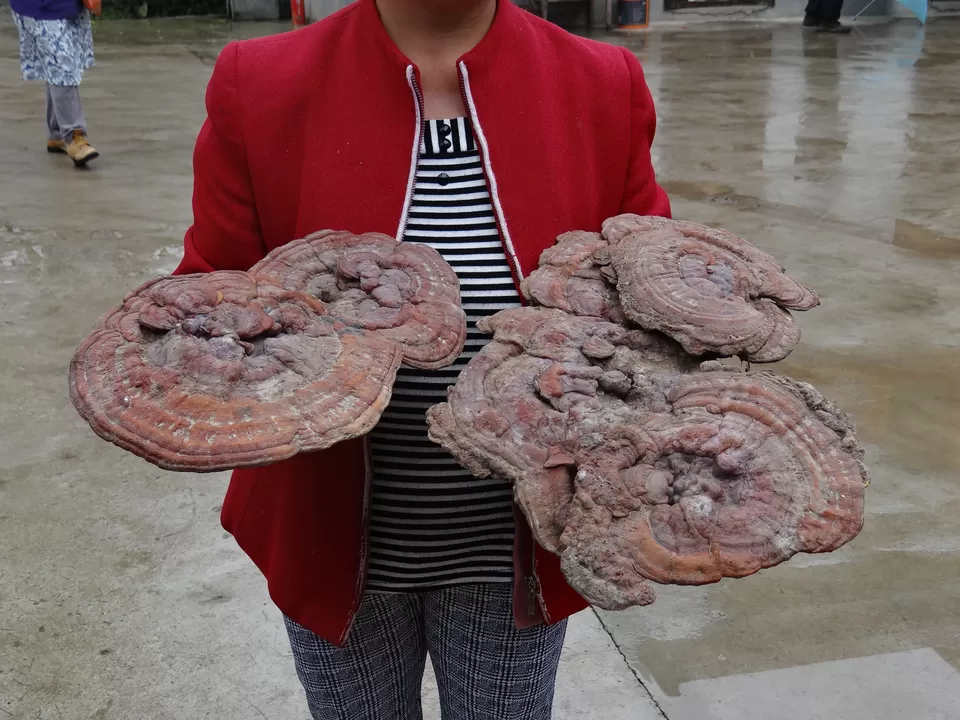 Photo of Lao Jie Ling, Nanyang, Henan, China by Liv