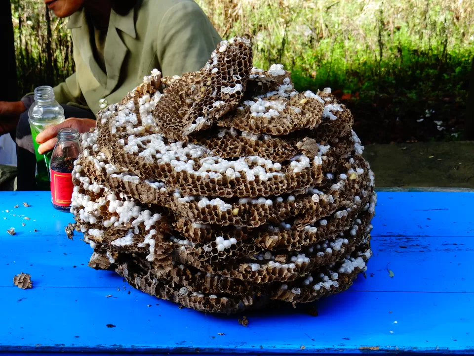 Photo of Dragon Pool Valley Scenic Area, Henan, China by Liv