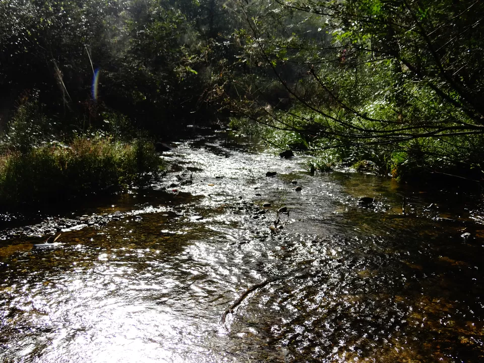 Photo of Dragon Pool Valley Scenic Area, Henan, China by Liv