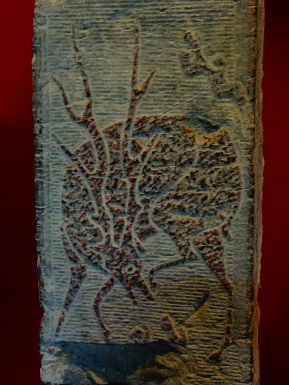 Photo of Nanyang Museum of Han Stone Gravings, Henan, China by Liv